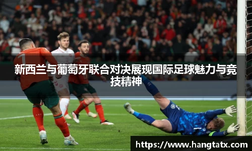 3377体育官网