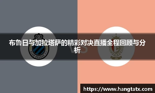 3377体育官网
