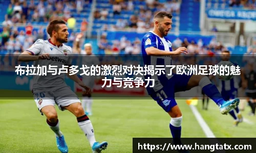 3377体育官网